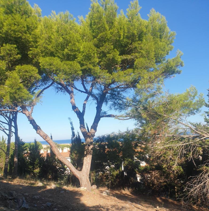 T2 Vue Mer Avec Parking Prive Saint-Pierre-la-Mer  외부 사진